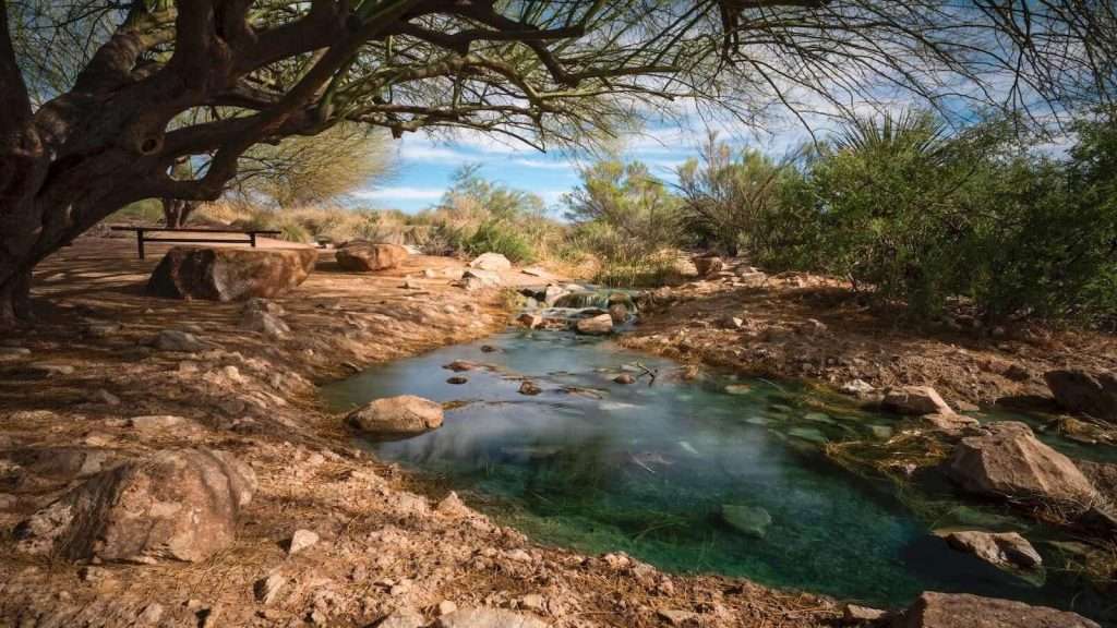 Pond in Riparian Preserve at Water Ranch