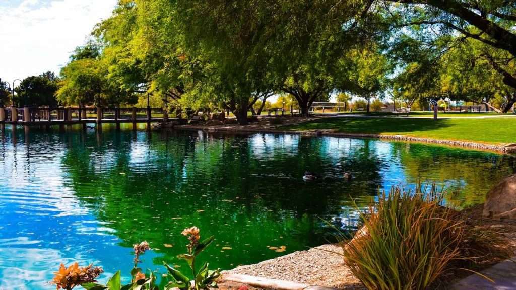 Pond at Gilbert regional park