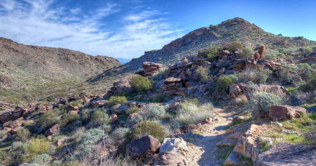 A rocky desert hiking trail winds through the rugged Sonoran Desert landscape of White Tank Mountain Regional Park near Surprise, Arizona, with barrel cactus, desert shrubs, and a clear blue sky overhead.
