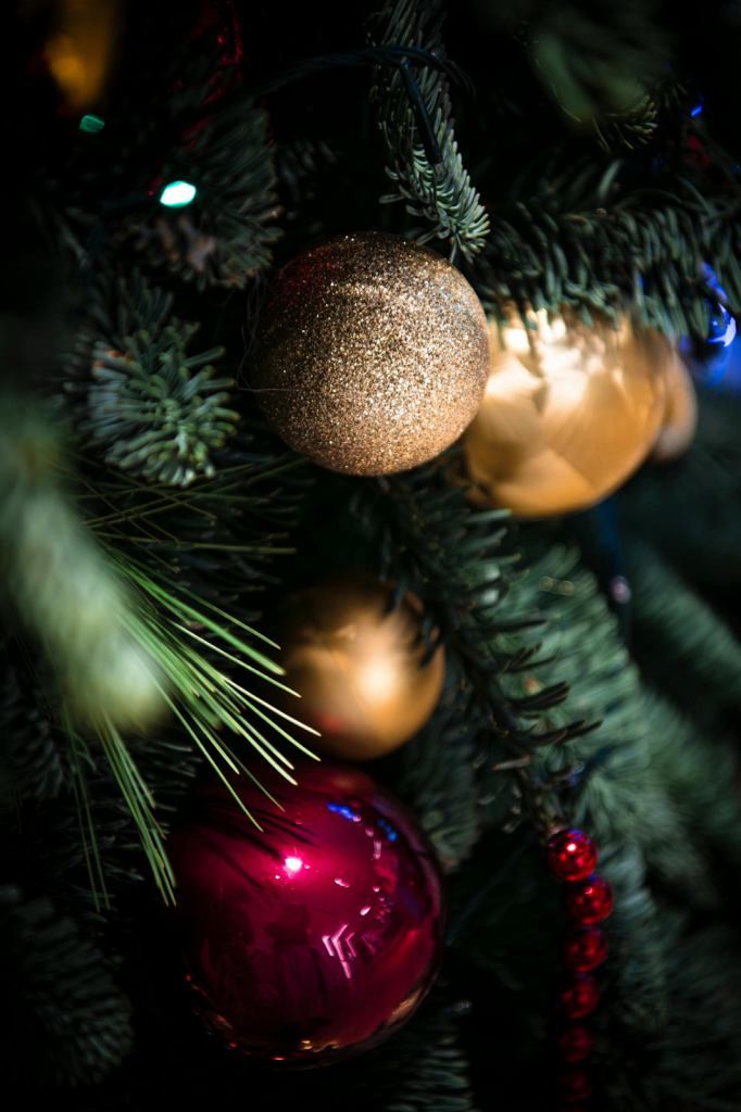 Close-up of ornaments on a tree
